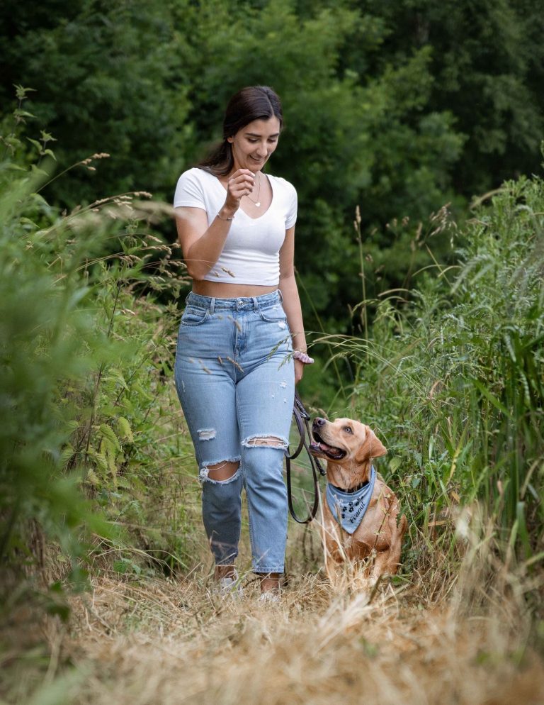 Ein Labrador Retriever laufend durch eine hohe Wiese neben seinem Frauchen