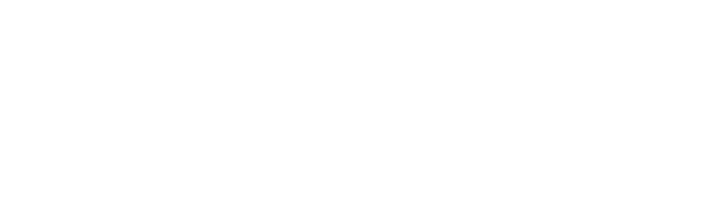 Meine Fotografie fokussiert sich auf die natürliche Schönheit und einzigartige Persönlichkeit deines Hundes